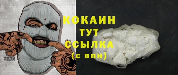 ПСИЛОЦИБИНОВЫЕ ГРИБЫ Абаза