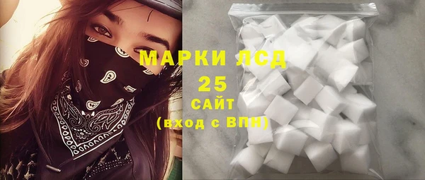 ПСИЛОЦИБИНОВЫЕ ГРИБЫ Абаза