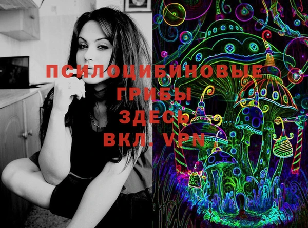 МДПВ Пролетарск