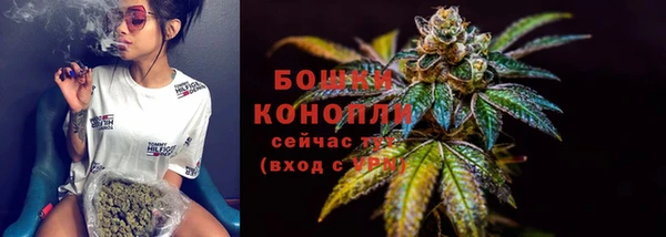 МДПВ Пролетарск