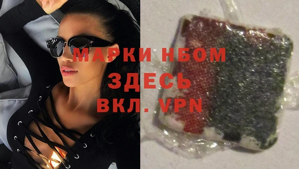 сатива Протвино