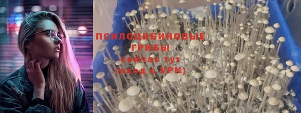 ПСИЛОЦИБИНОВЫЕ ГРИБЫ Абаза